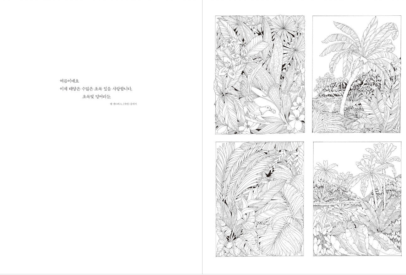 Leila Duly's Beautiful Planet coloring book