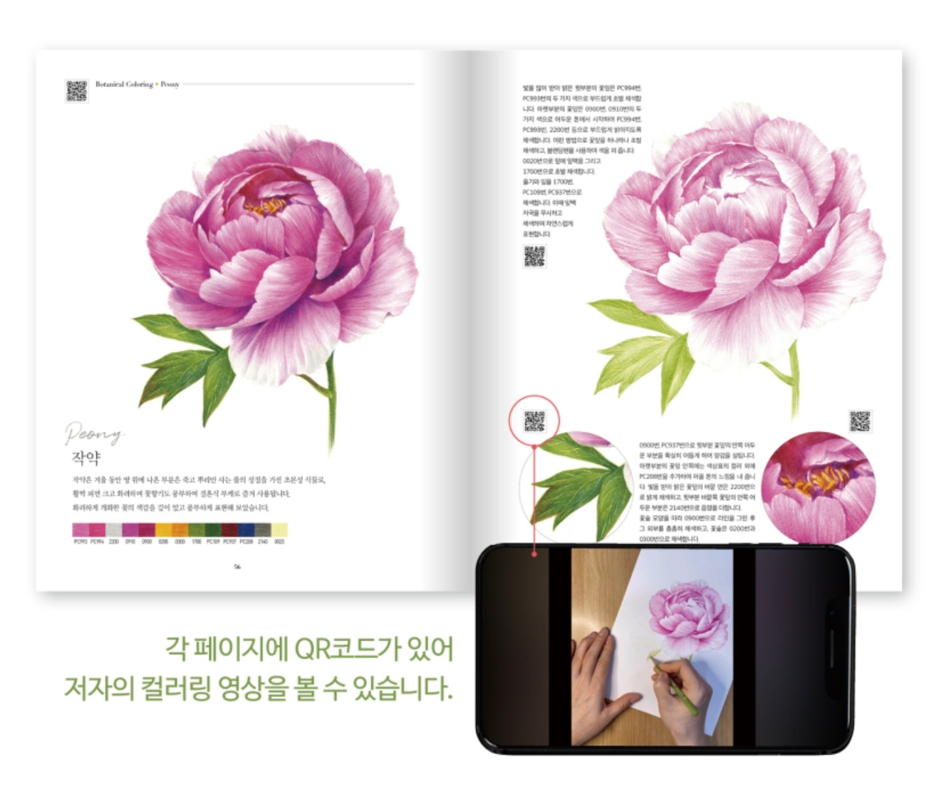 LEVEL UP Botanical Art Coloring Book Set by haeryun lee