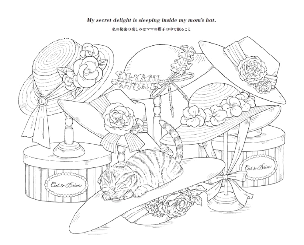 FOUR CATS: A Happy Day for Lady Cats Coloring Book by mia : Japanese Coloring Book