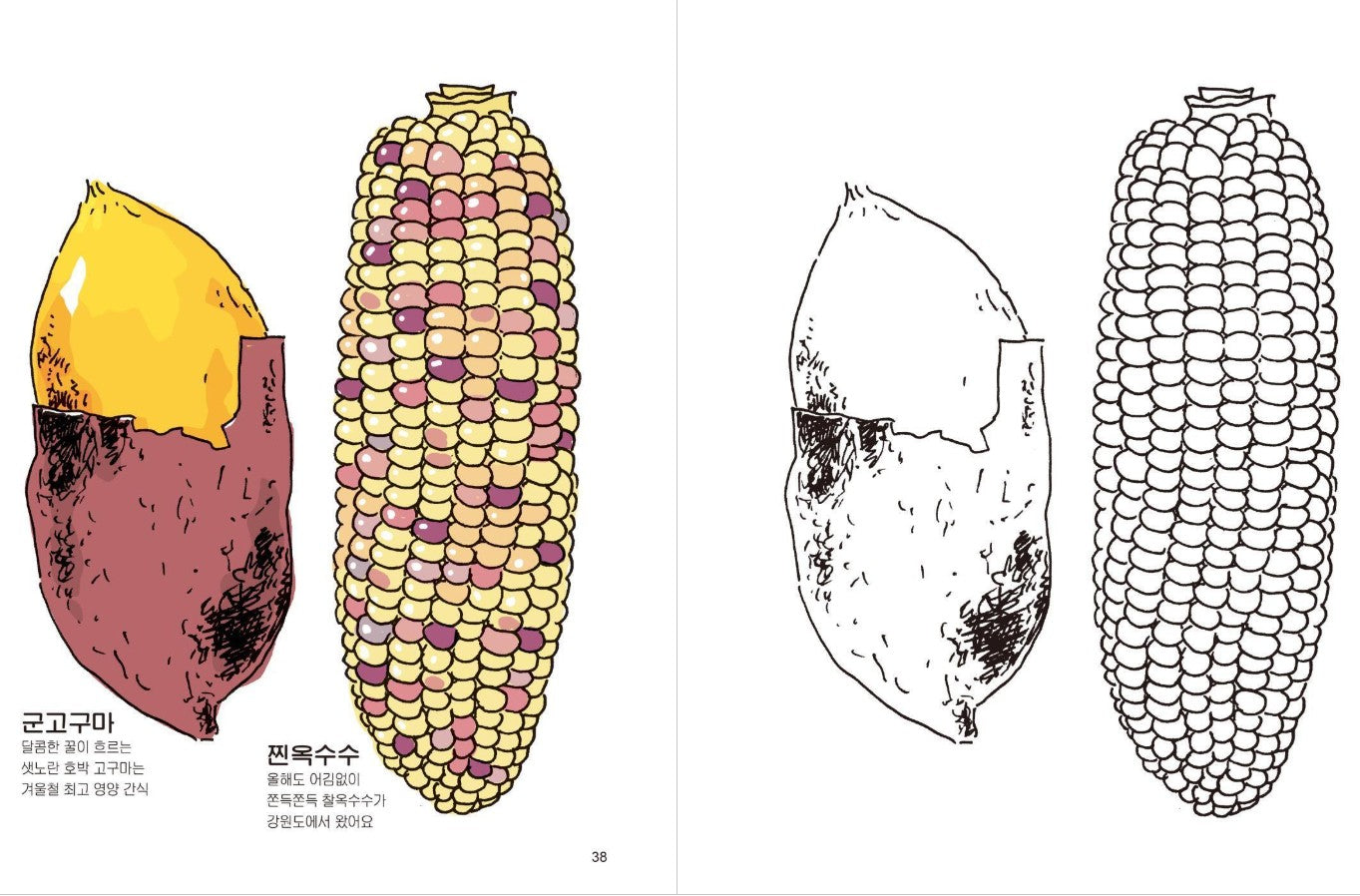 Korean Street Food Coloring Book