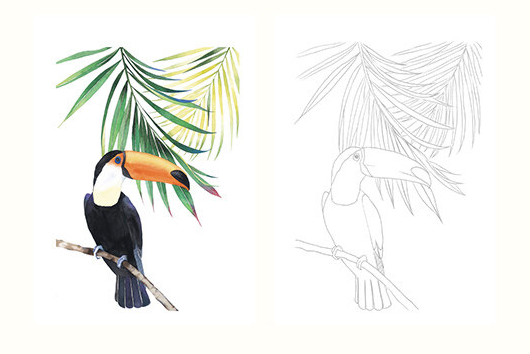 Animal Friends Watercolor Lesson Book by NuNu