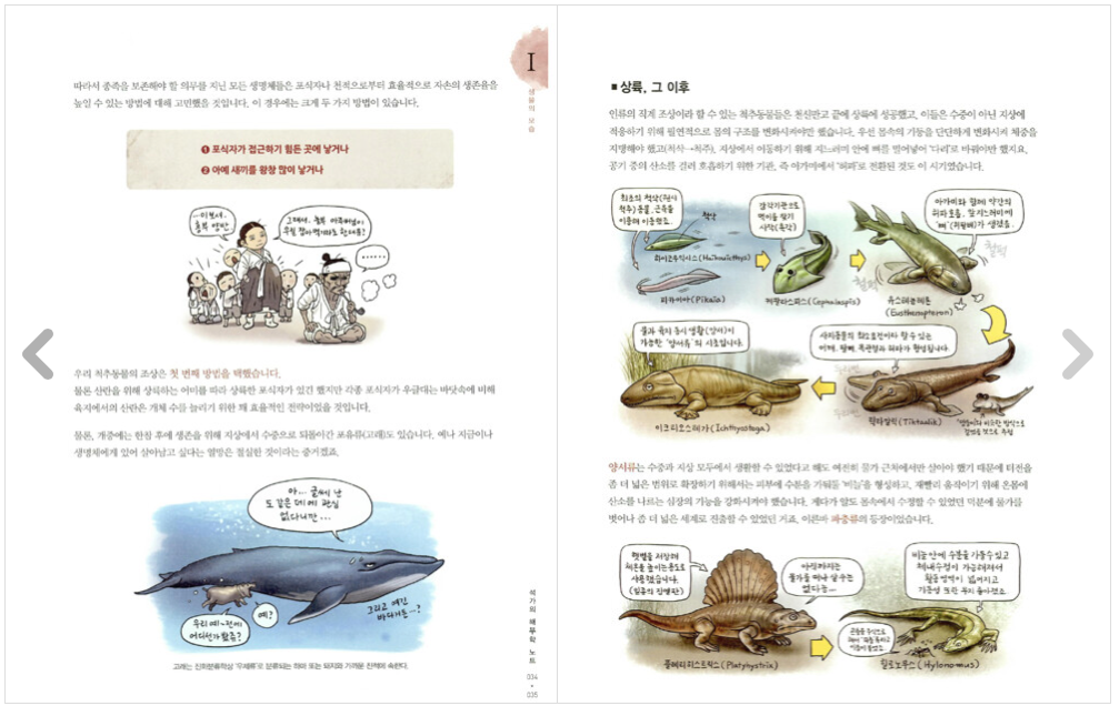 Stonehouse's Anatomy note, The masterpiece anatomy drawing lesson book