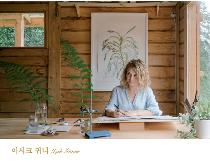 Botanical Illustration from Life by Işık Güner, Watercolor art