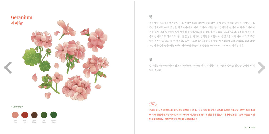 One & Only watercolor Coloring Book(2022)