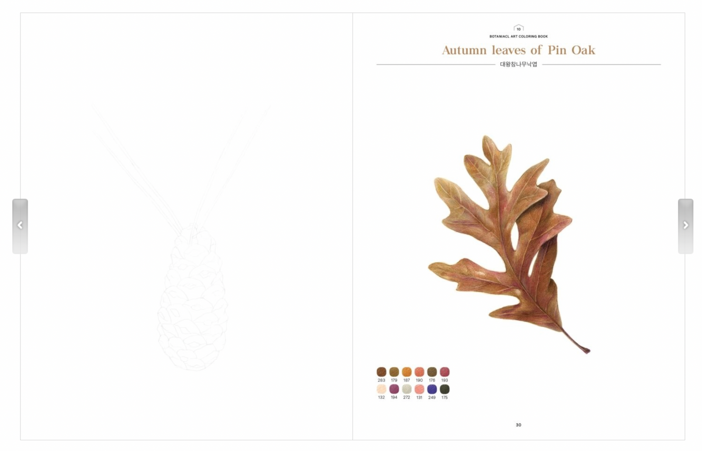 Botanical art coloring book, haeryun lee