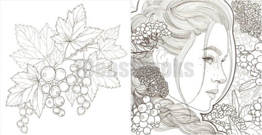 When I first saw you Coloring Book - Korean Coloring Book