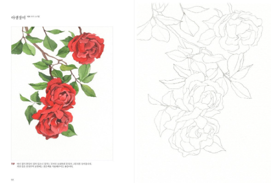 Wildflowers Watercolor Coloring Book