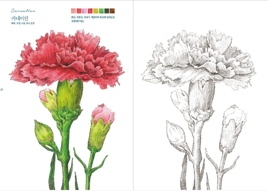 Botanical Watercolor Coloring Book