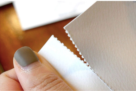 Botanical and fairy Watercolor Coloring Book, Spring binding