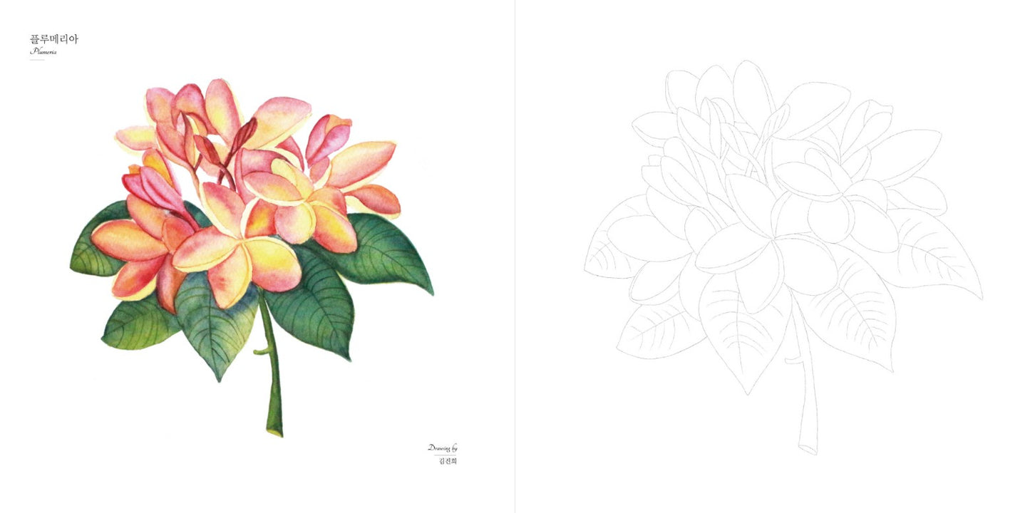 bunch of flowers watercolor coloring book