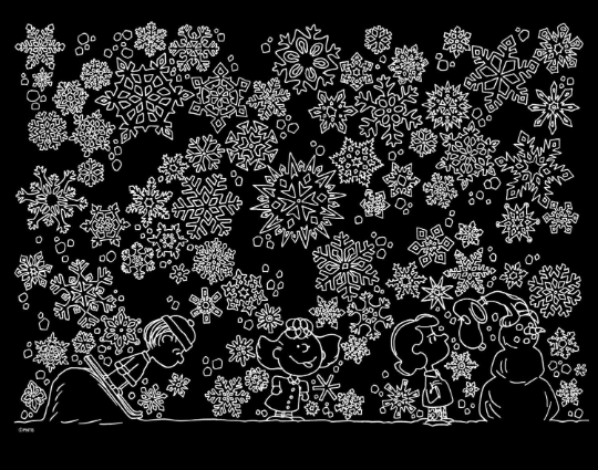 SNOOPY What a Wonderful Season