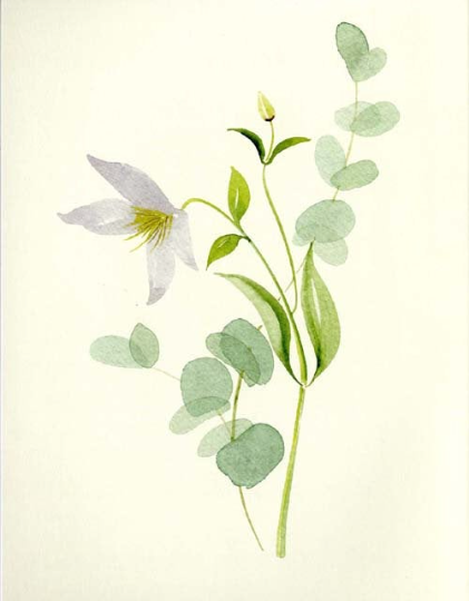 Botanical Painting by Harriet de Winton - Watercolor lesson book