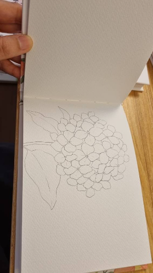 Flower Dance Watercolor Coloring note - watercolor lesson book