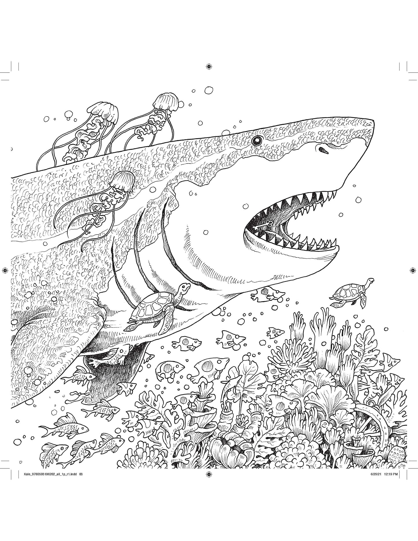 Kaleidomorphia Celebrating Kerby Rosanes Coloring Challenges (Paperback) Coloring book