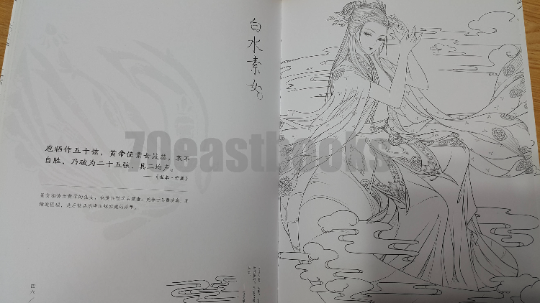 The classic mountains and seas Chinese Coloring Book by da da cat(da da mao)