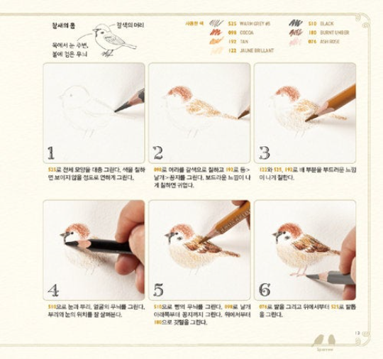 Birds Colored pencil drawing and coloring lesson Book