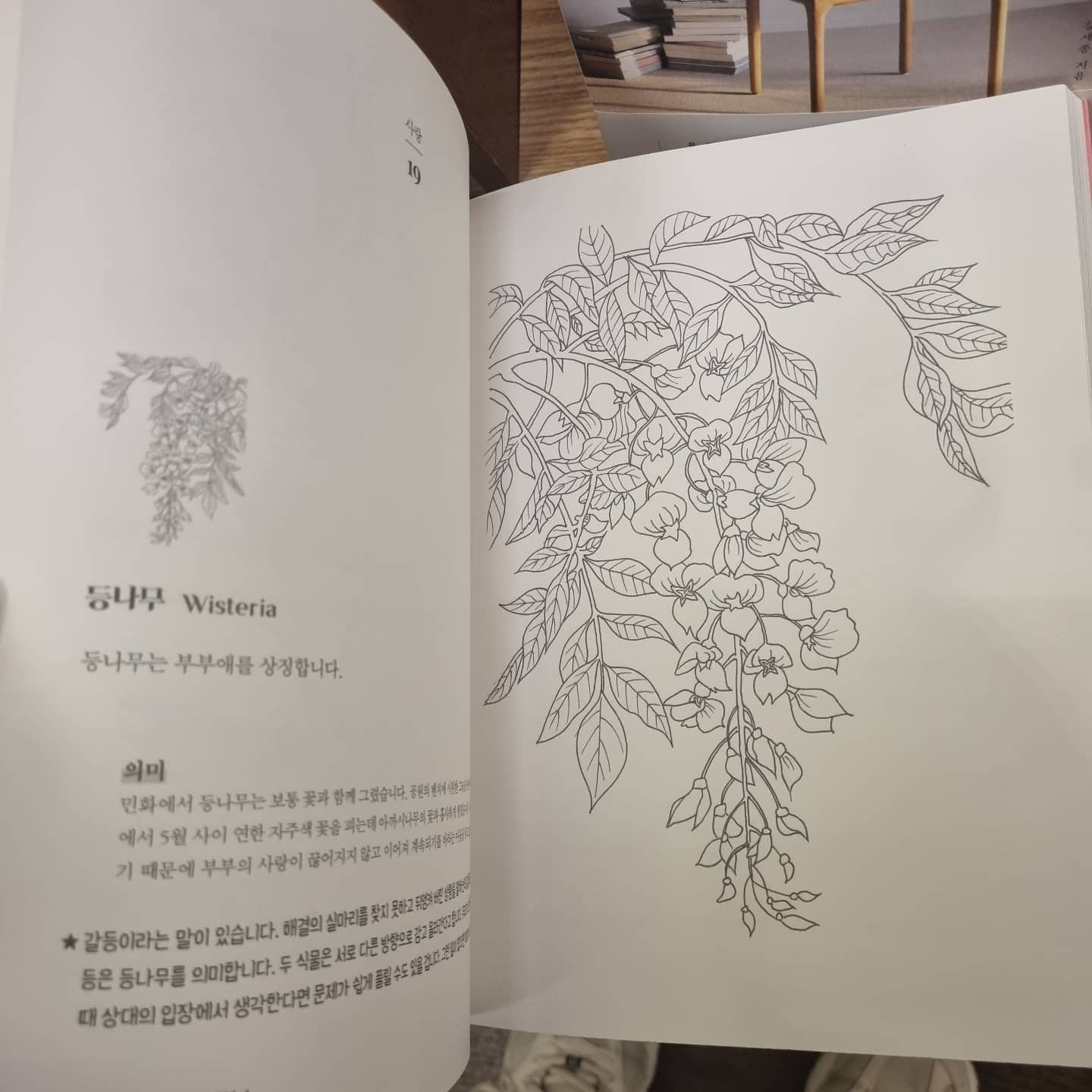 Healing Minwha coloring book Series, 2 books