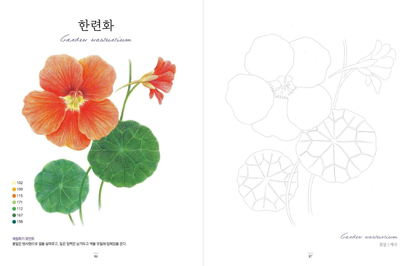 flower garden at home Coloring Book