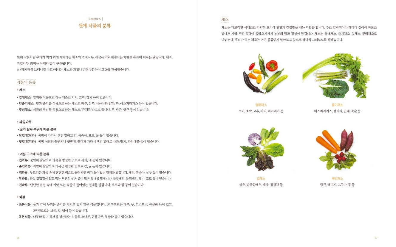 Vegetable Botanical Art book by Jenny lee - Botanical Art Book(New ver.)