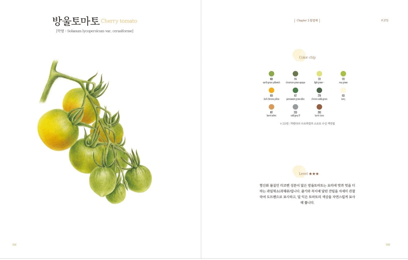 Vegetable Botanical Art book by Jenny lee - Botanical Art Book(New ver.)