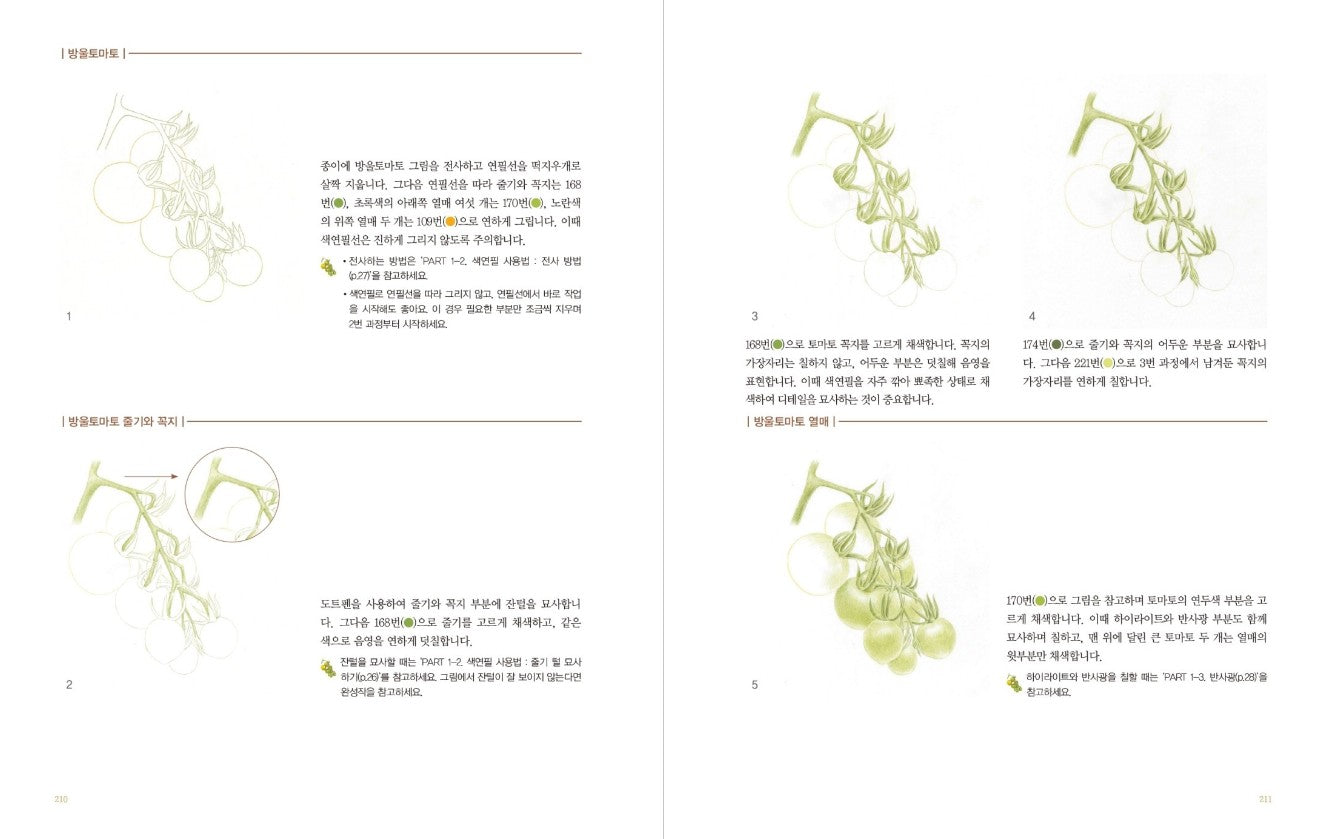 Vegetable Botanical Art book by Jenny lee - Botanical Art Book(New ver.)