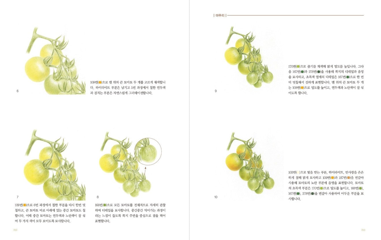 Vegetable Botanical Art book by Jenny lee - Botanical Art Book(New ver.)