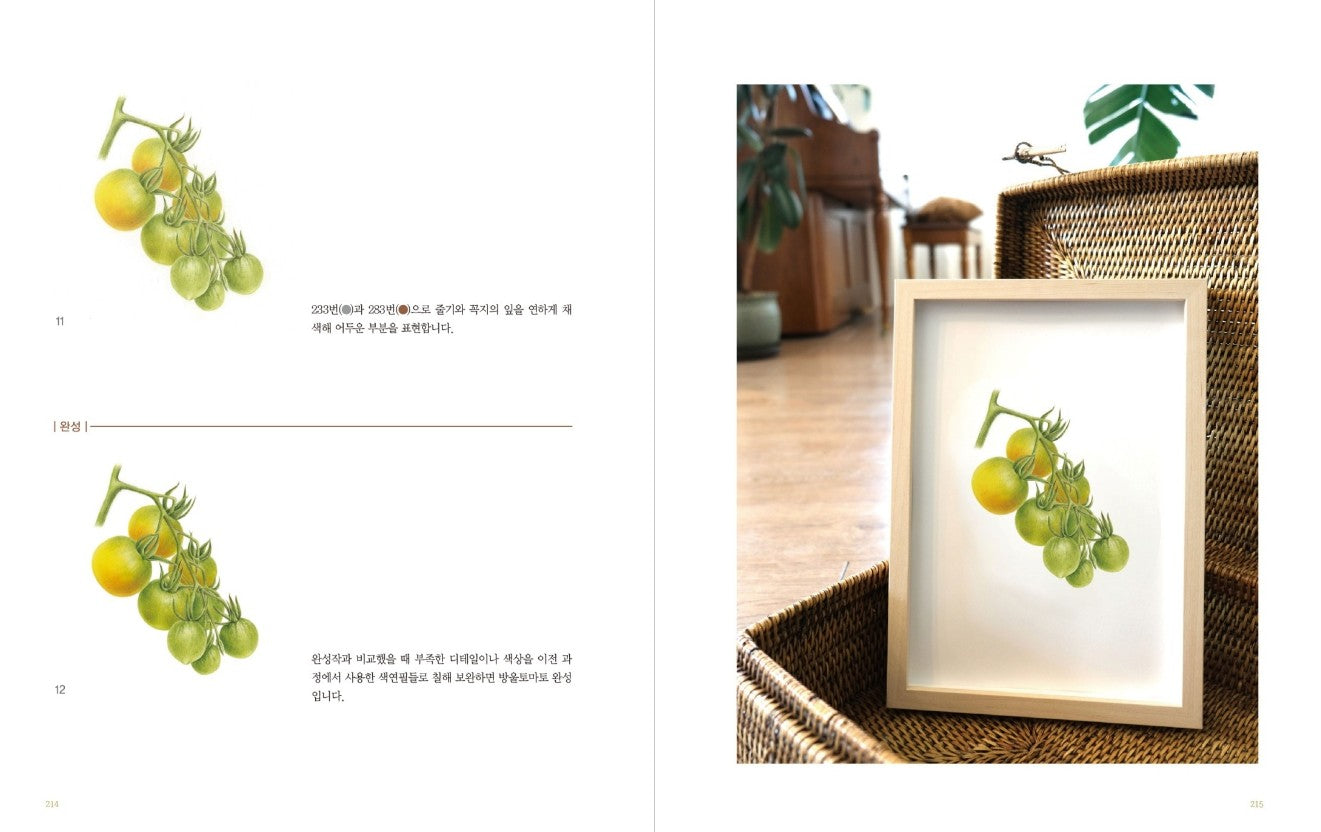 Vegetable Botanical Art book by Jenny lee - Botanical Art Book(New ver.)