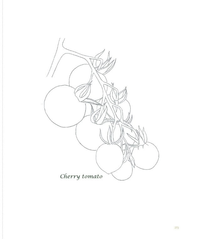 Vegetable Botanical Art book by Jenny lee - Botanical Art Book(New ver.)