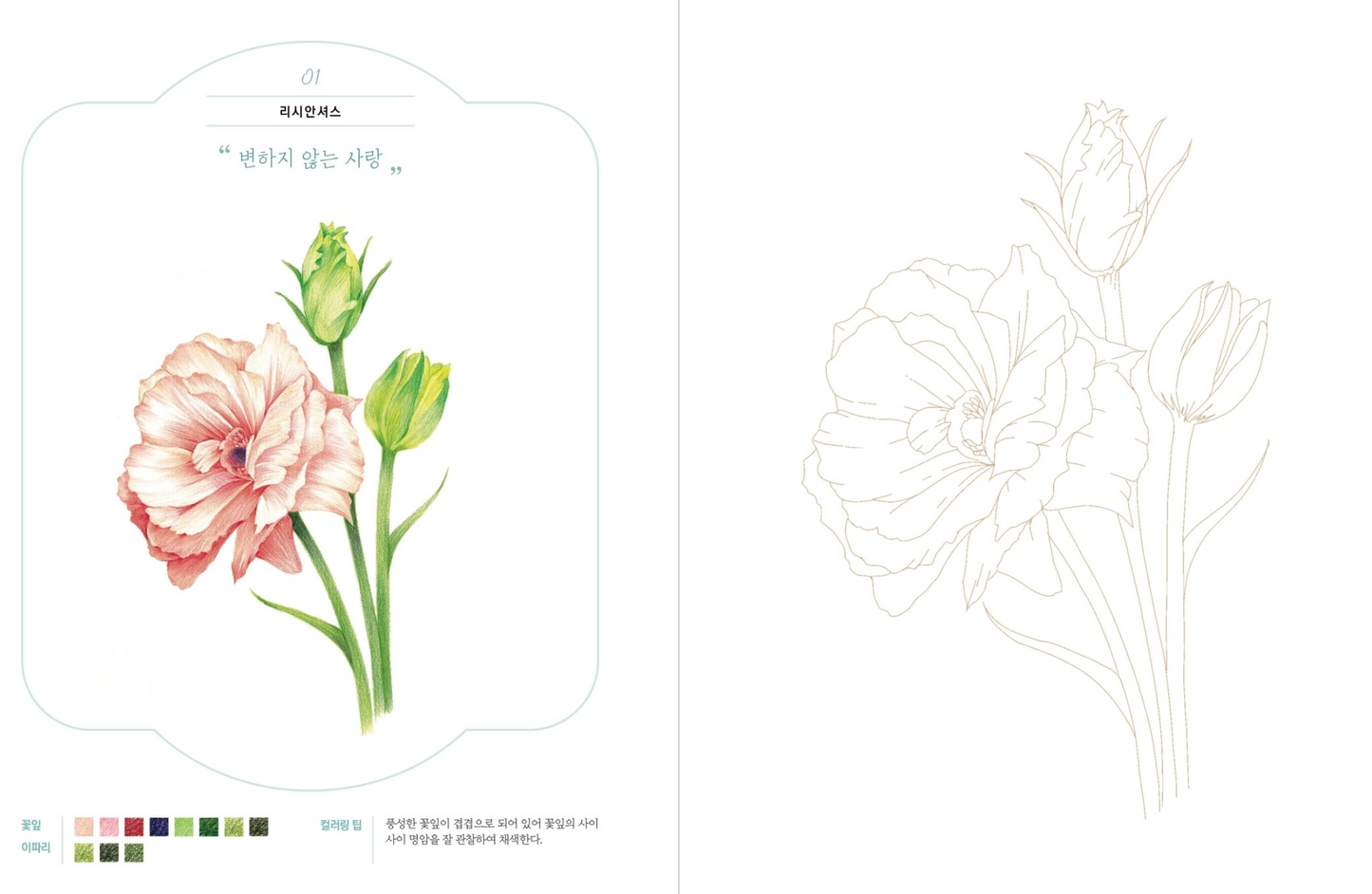 Lovely Garden Botanical Art Coloring Book