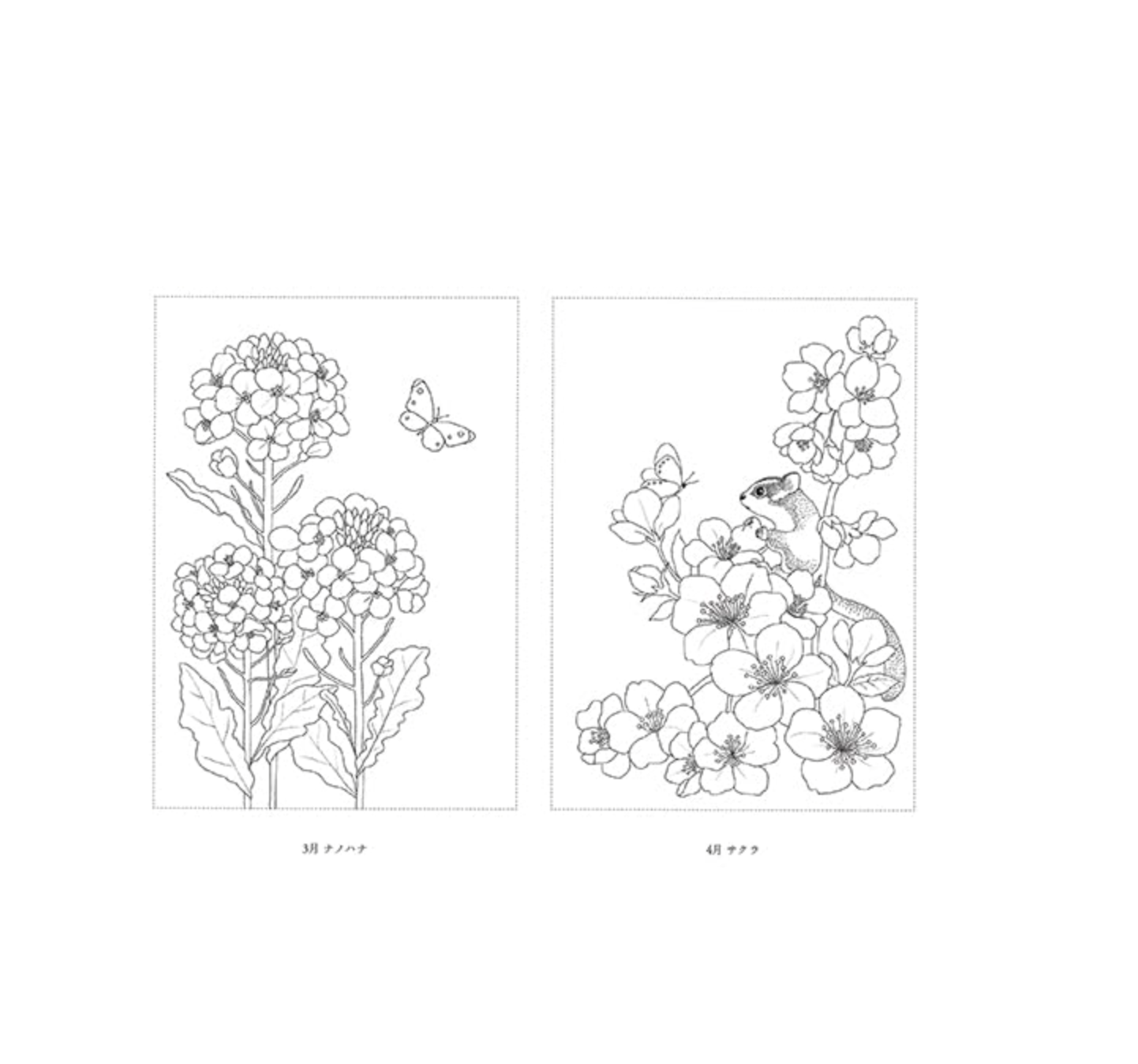 Flowers and Animals' Travel Time Coloring Book(Japanese) by Hamano Fumi