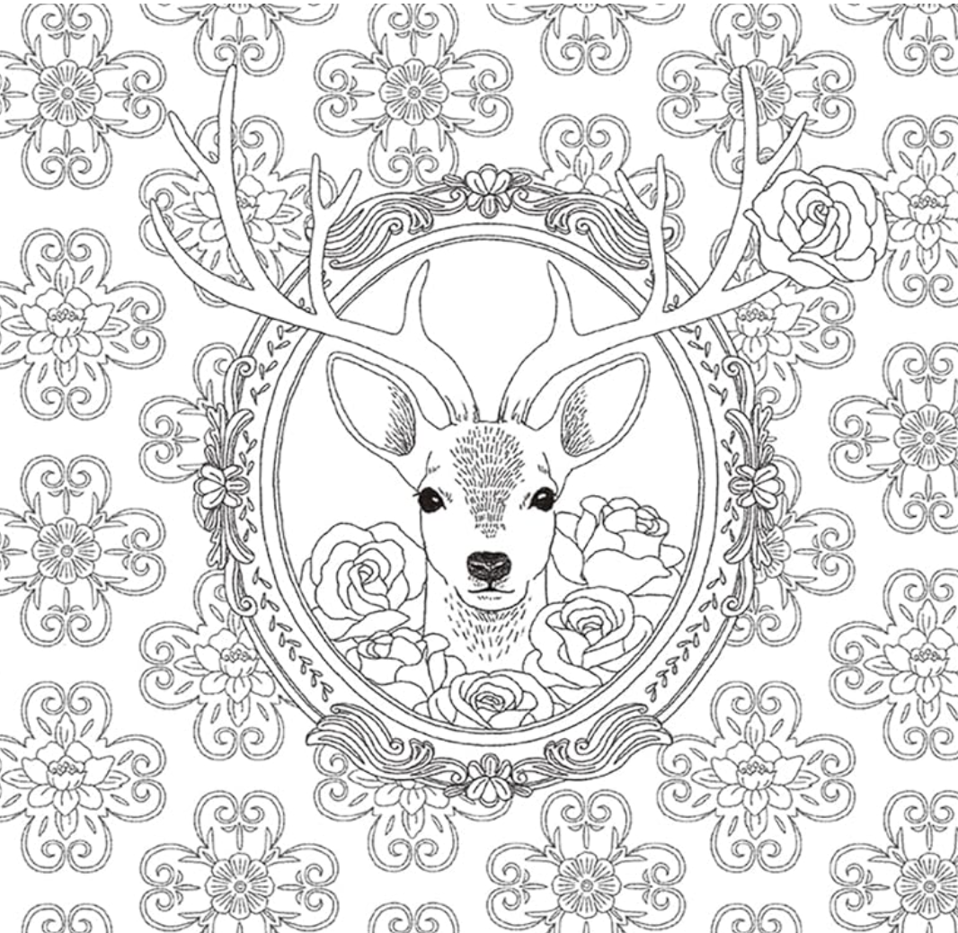 Flowers and Animals' Travel Time Coloring Book(Japanese) by Hamano Fumi