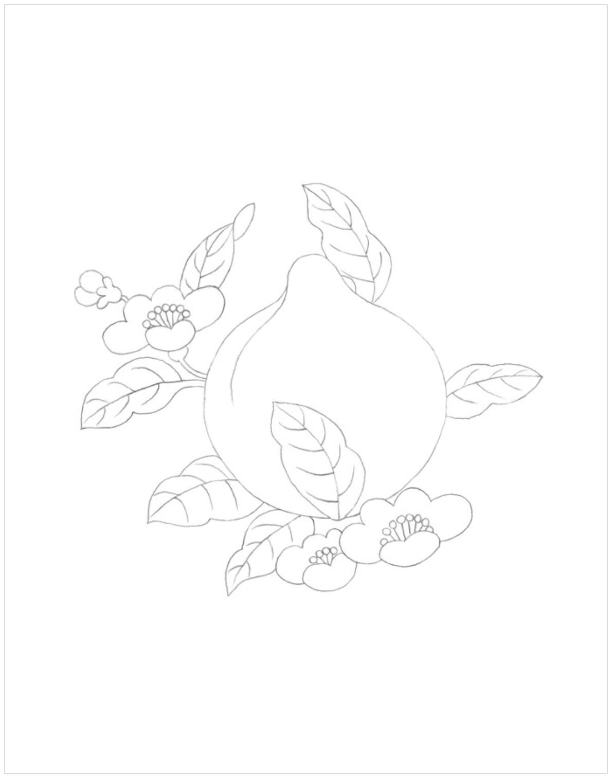 Modern Minhwa Coloring Book : Traditional Korean folk art