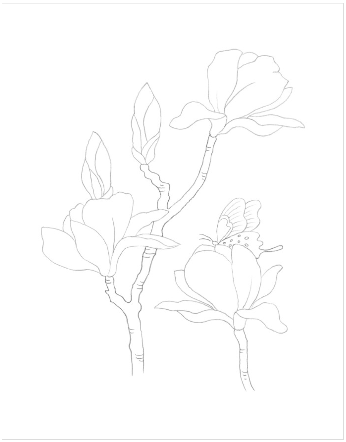 Modern Minhwa Coloring Book : Traditional Korean folk art