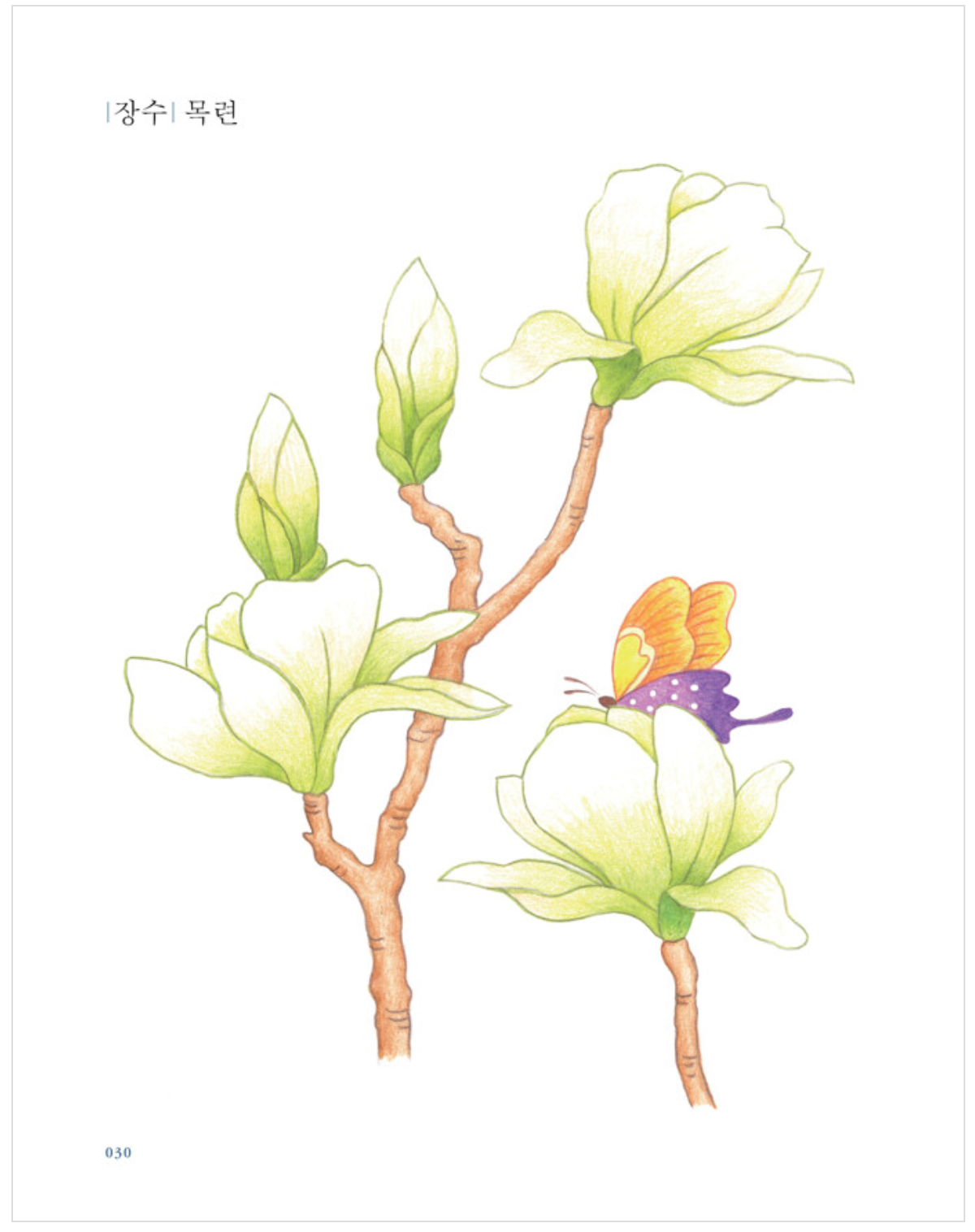 Modern Minhwa Coloring Book : Traditional Korean folk art