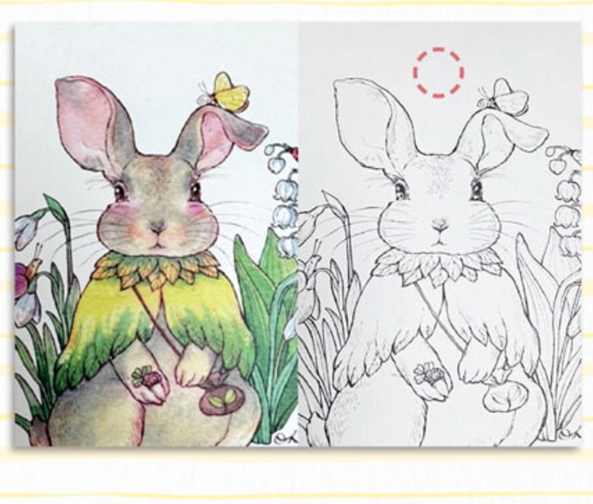 Four Seasons Watercolor Painting Coloring Book