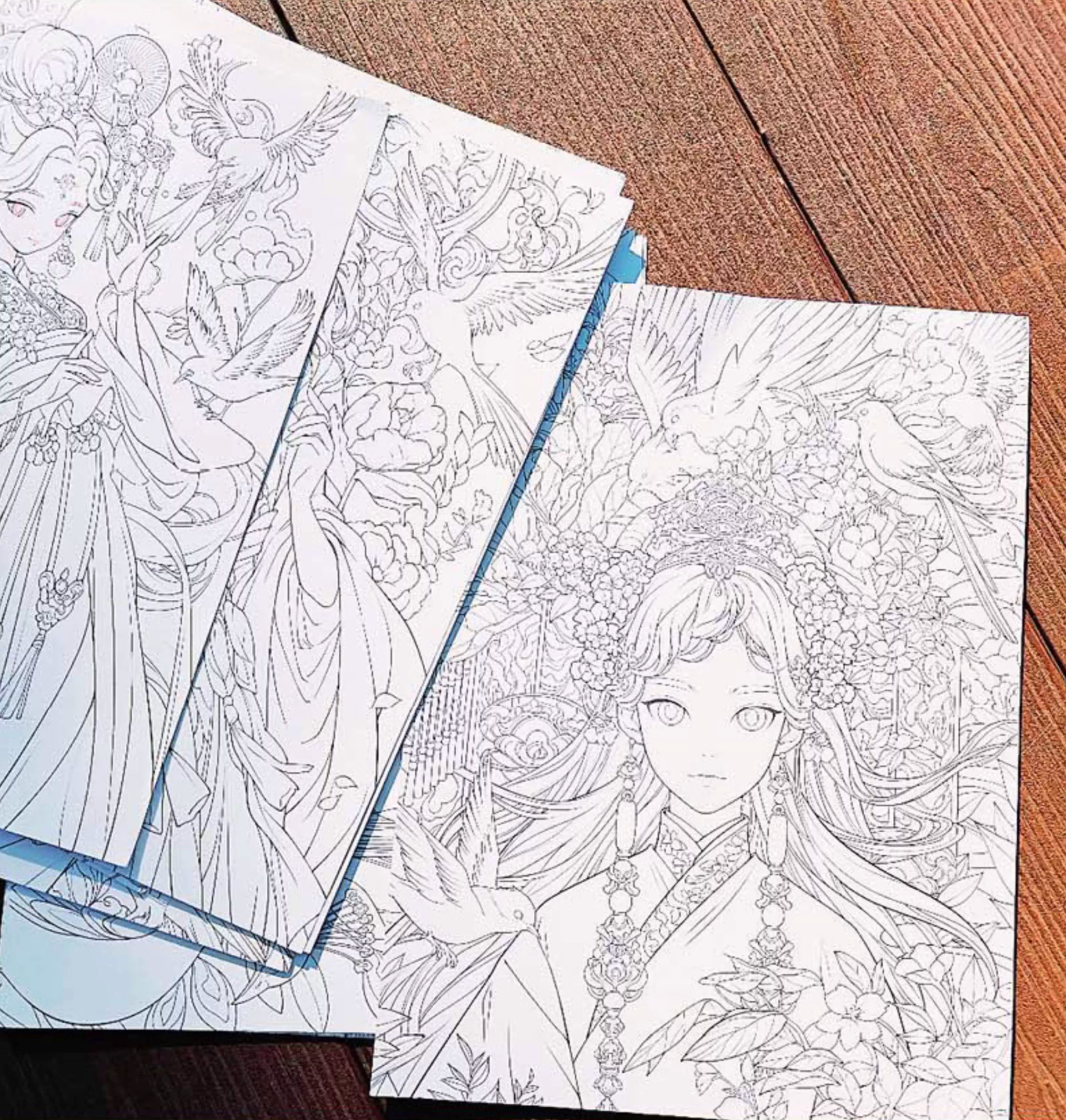 Author Mioyo Coloring Book : Southern Branches in Full Bloom, Ancient Coloring book