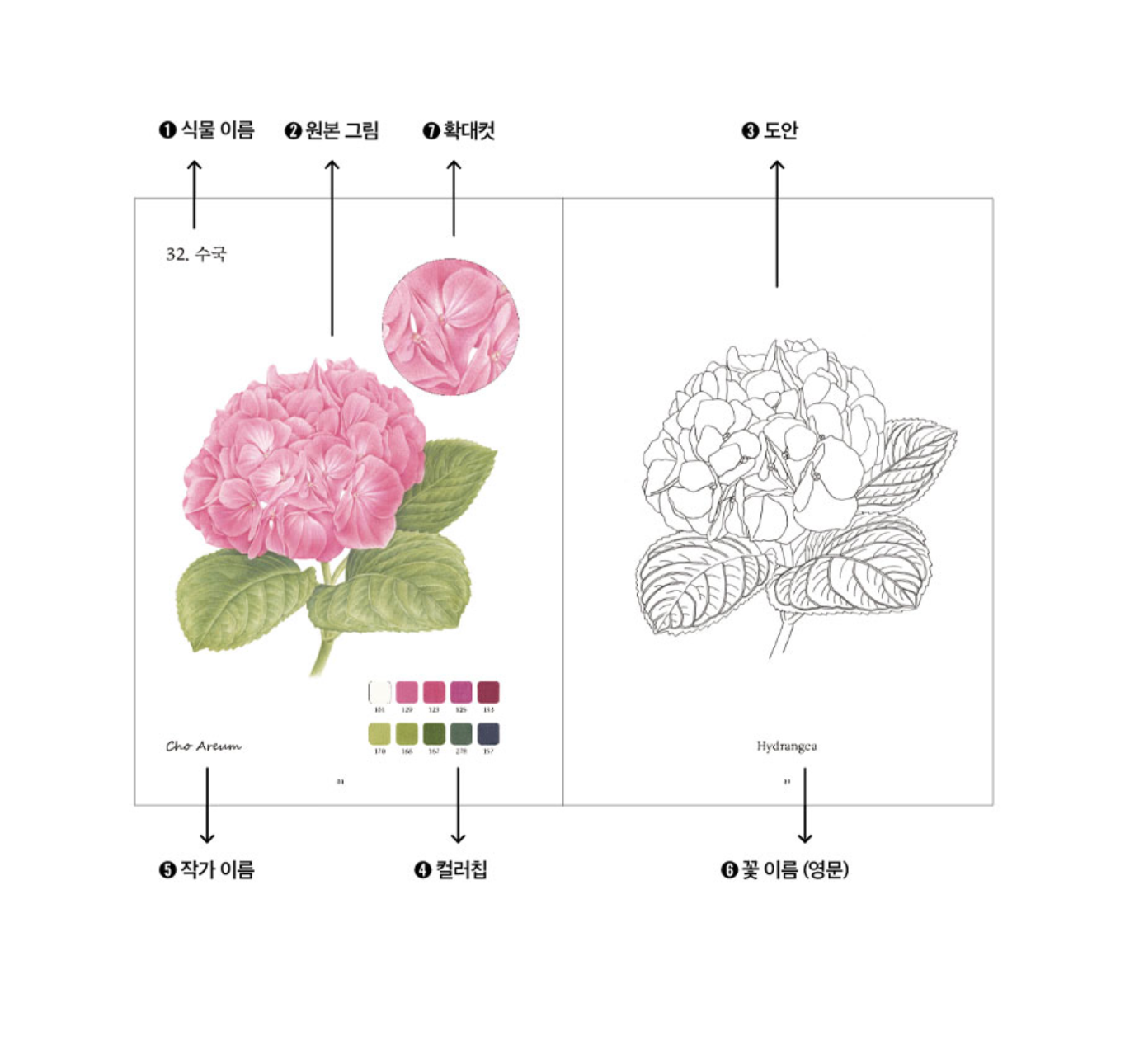 Colored Pencil Botanical Art: Fruits and Flowers Coloring Book