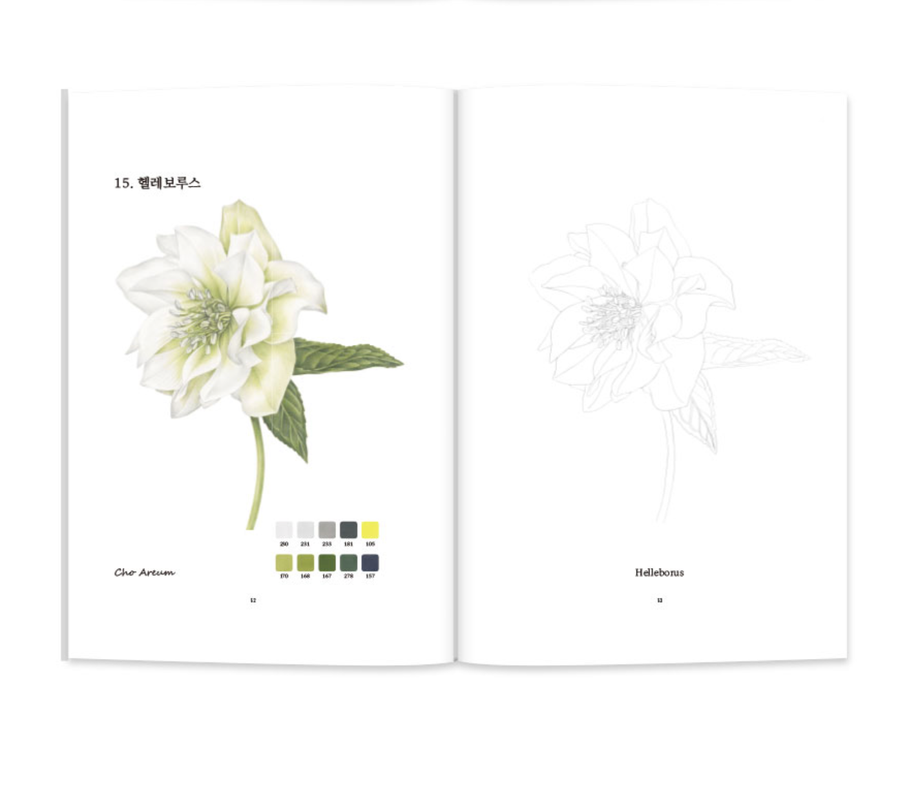 Colored Pencil Botanical Art: Fruits and Flowers Coloring Book