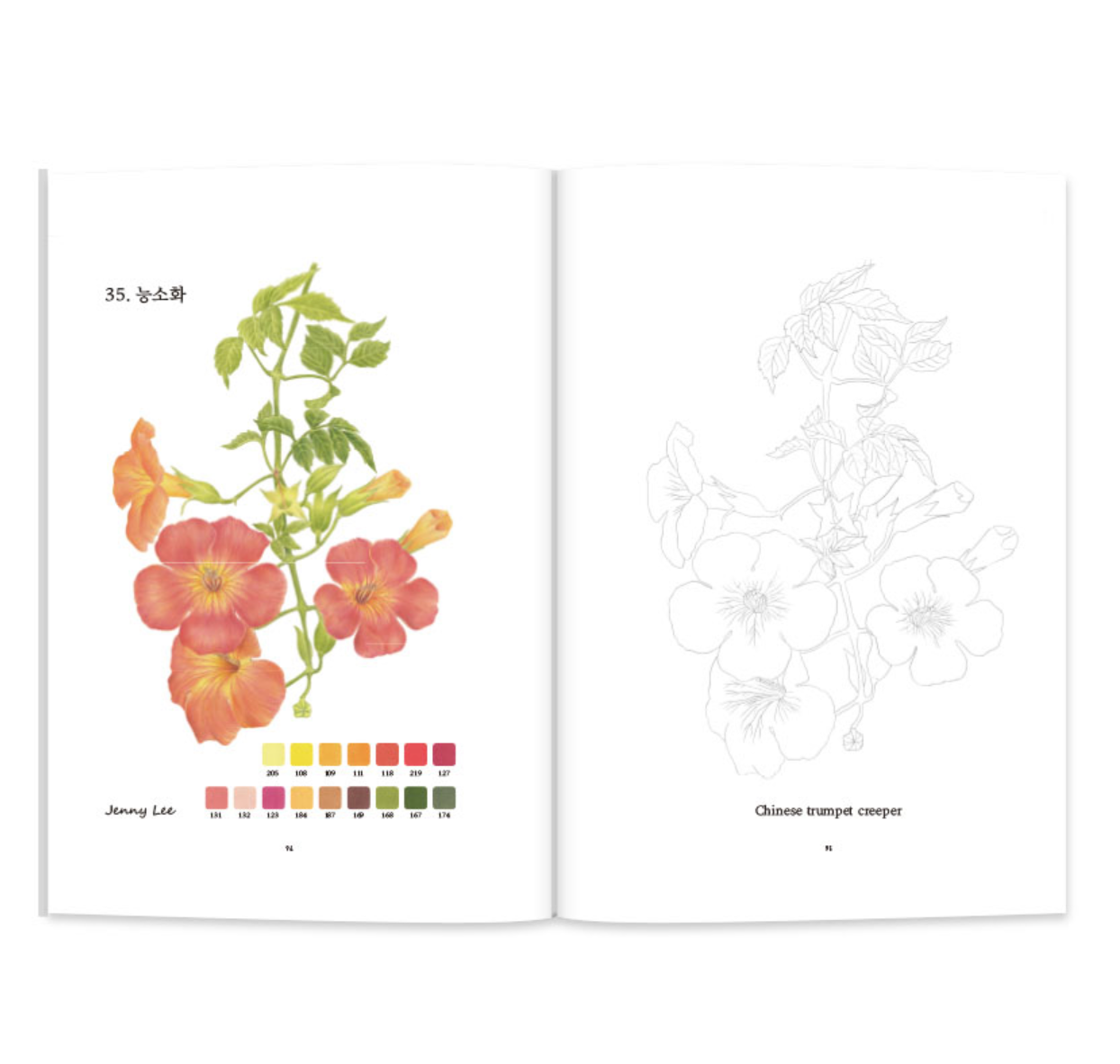 Colored Pencil Botanical Art: Fruits and Flowers Coloring Book