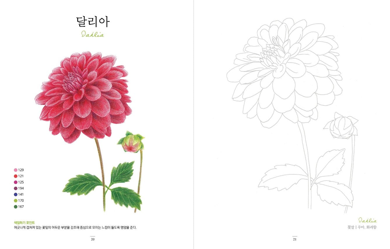 flower garden at home Coloring Book