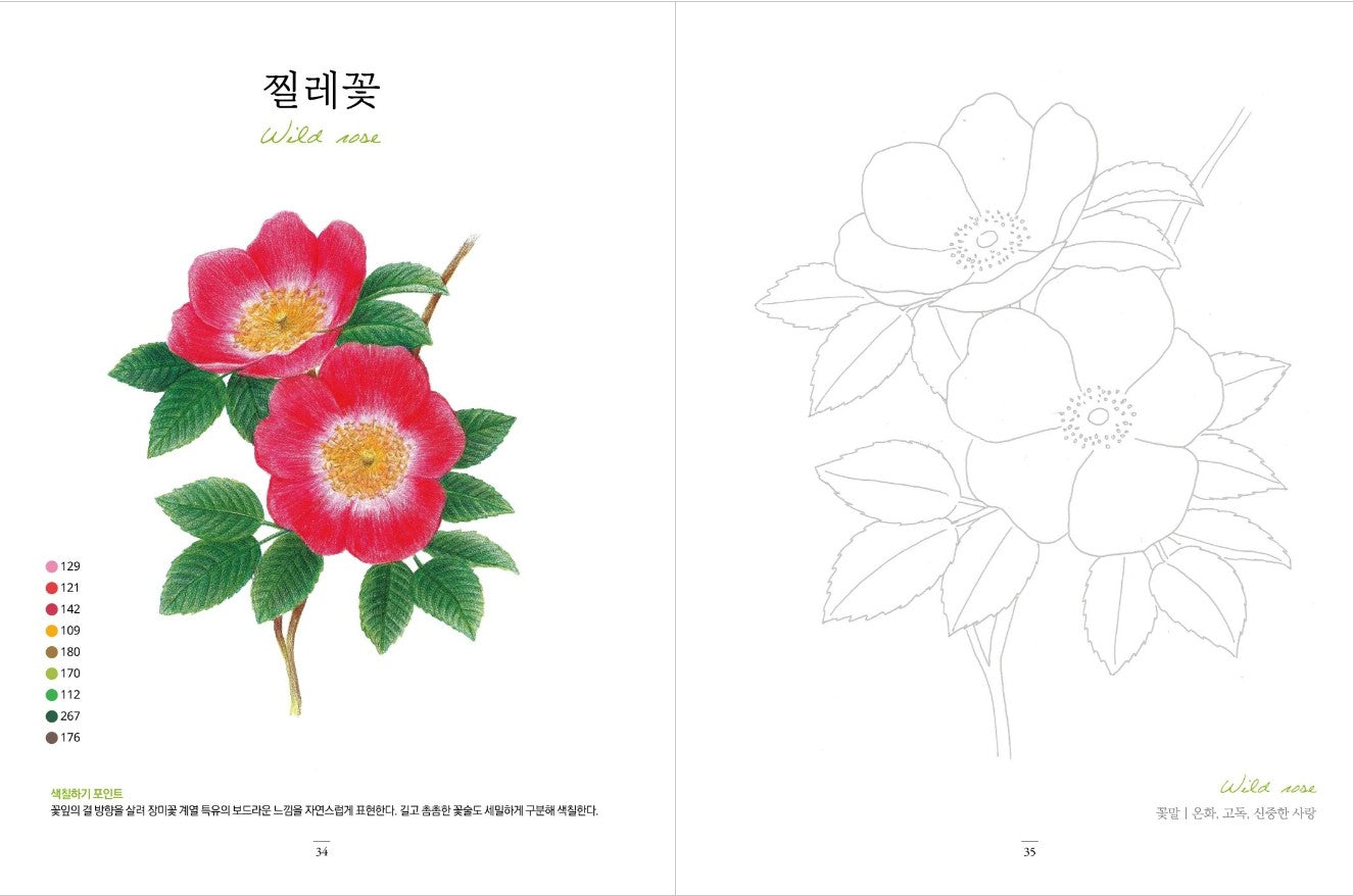 flower garden at home Coloring Book