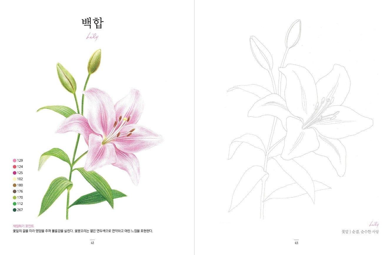 flower garden at home Coloring Book