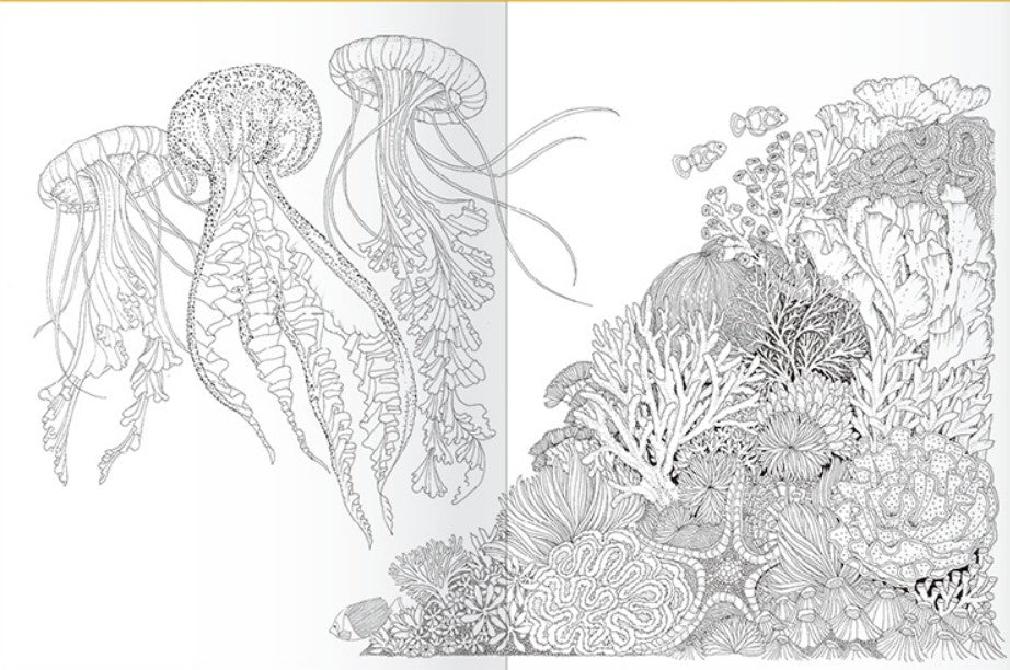 Leila Duly's Beautiful Planet coloring book