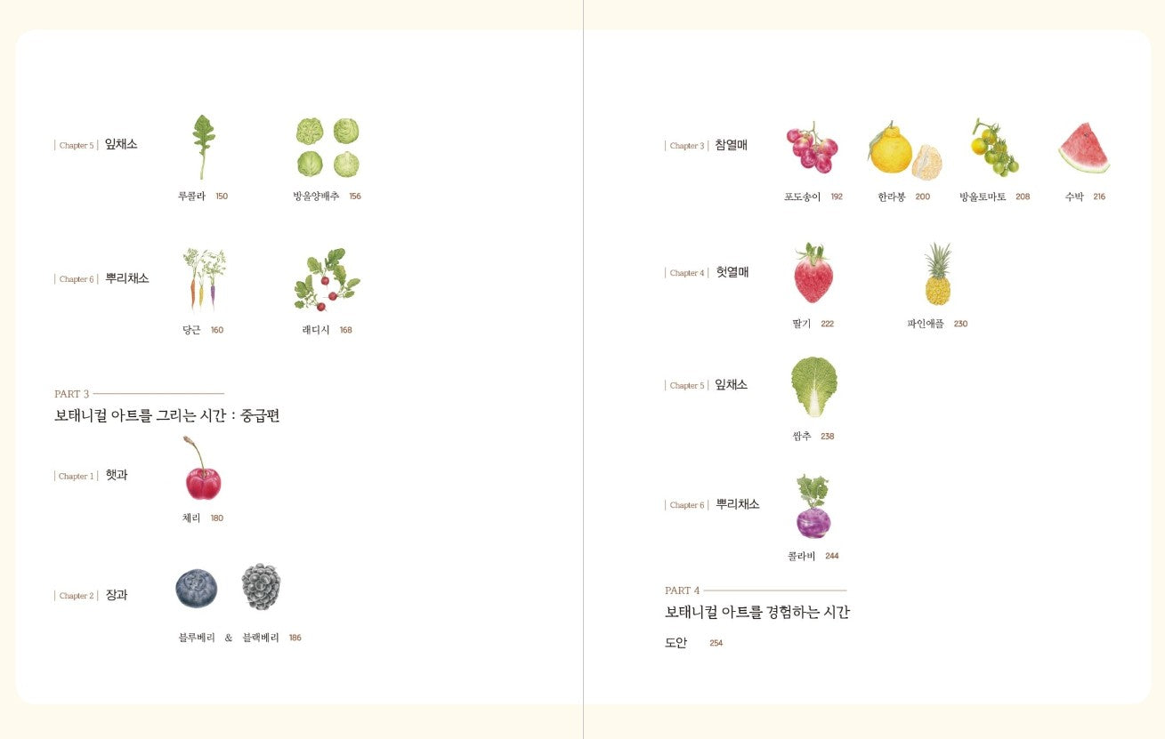 Vegetable Botanical Art book by Jenny lee - Botanical Art Book(New ver.)