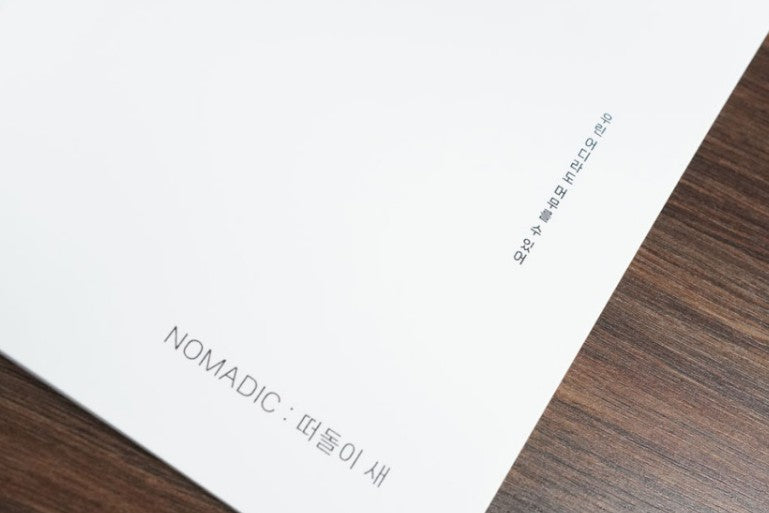 a wandering bird by Nomadic : Nomadic Solo Exhibition Catalog