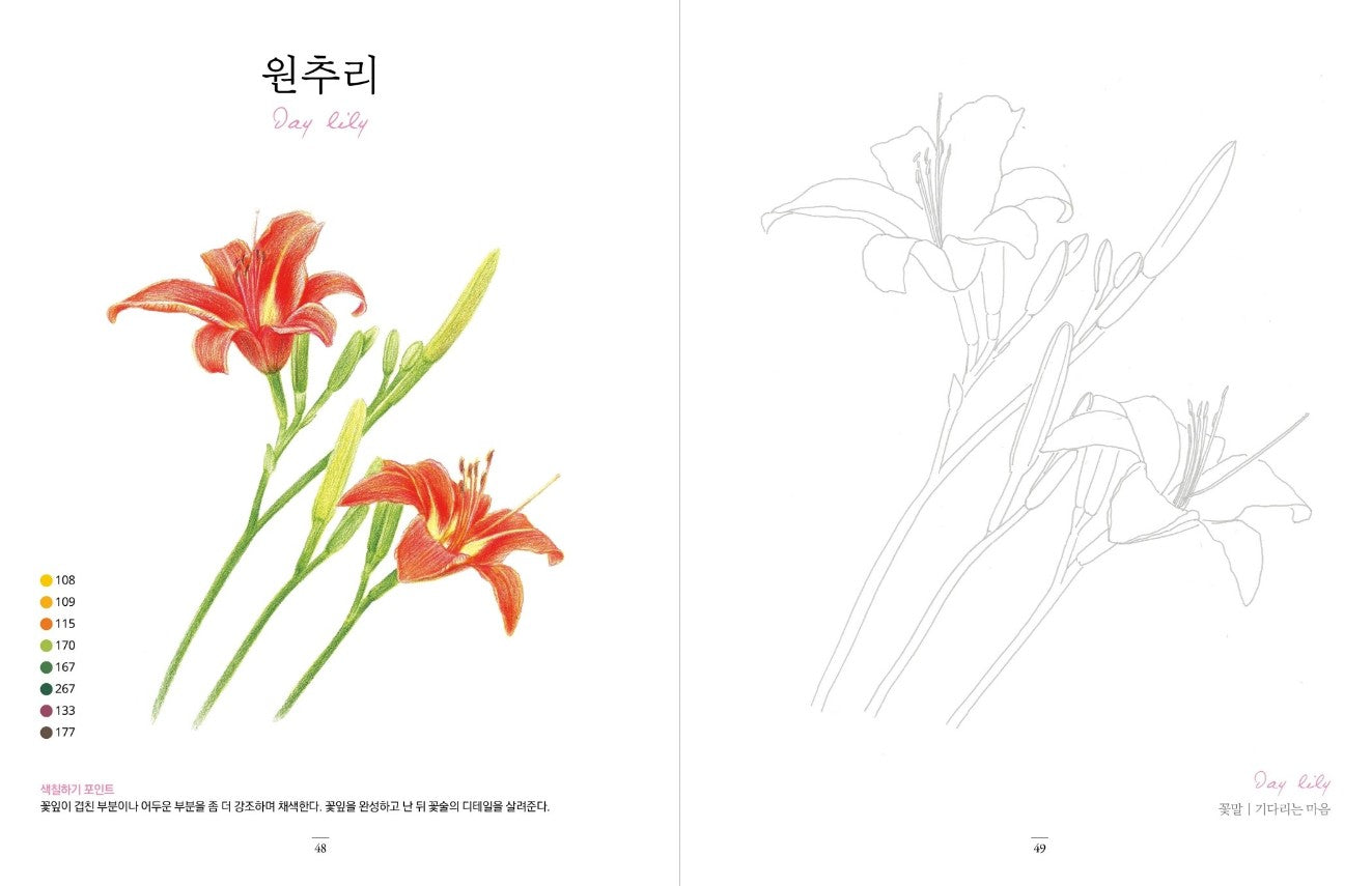 flower garden at home Coloring Book