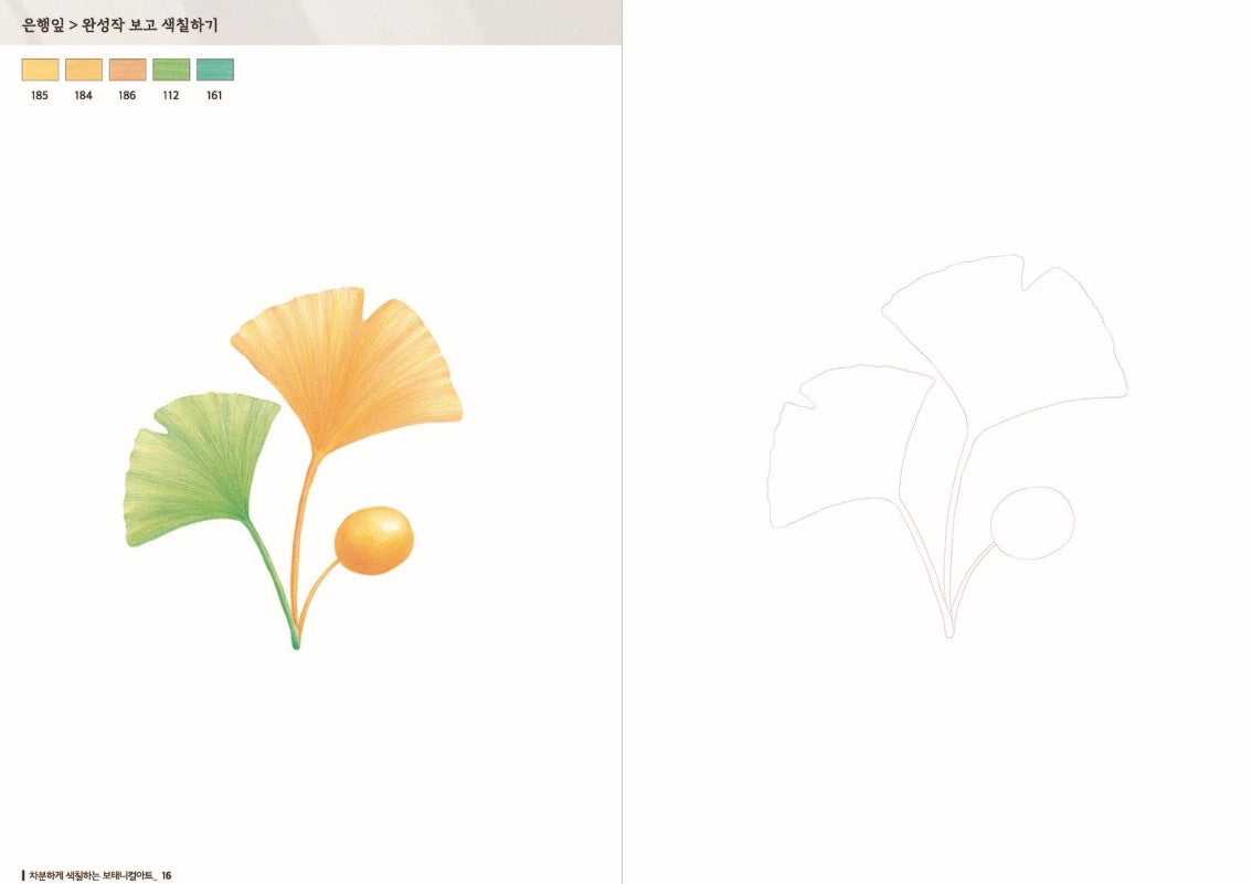Botanical art to calmly color Book for colored pencil