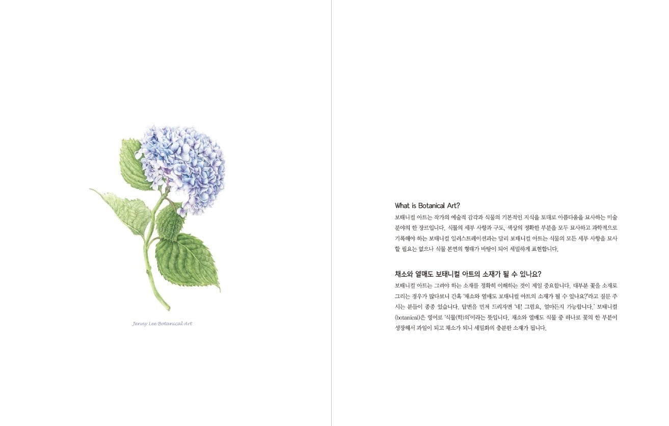 Vegetable Botanical Art book by Jenny lee - Botanical Art Book(New ver.)