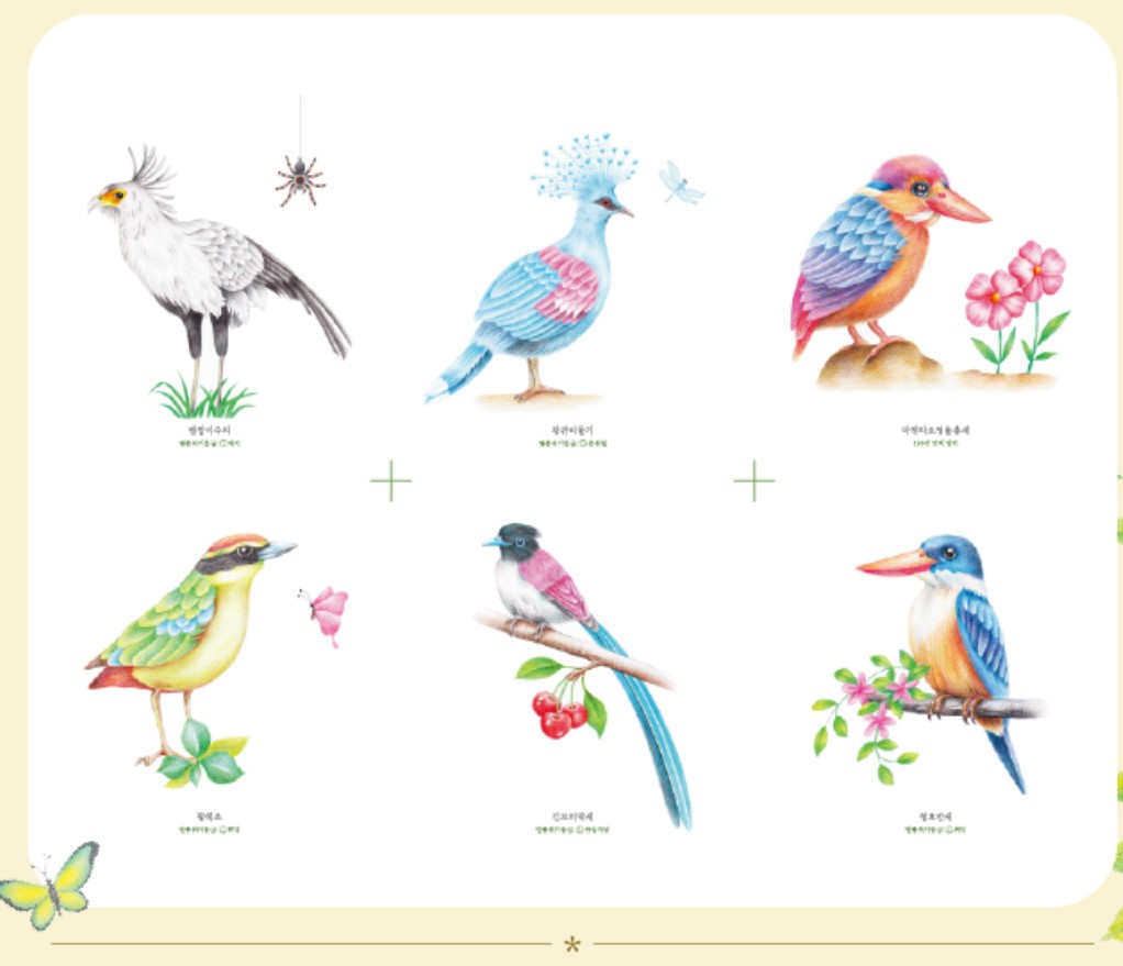 Mysterious Bird Coloring Book