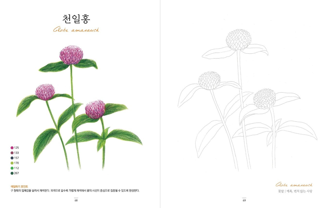 flower garden at home Coloring Book